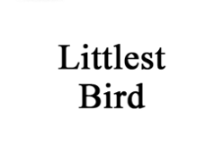 Littlest Bird