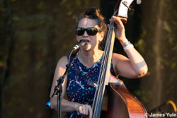 Low Water String Band